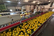 Taks vlakke transportband 1010 x 90 cm met meenemers