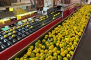 Taks vlakke transportband 1010 x 90 cm met meenemers