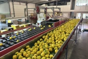 Taks vlakke transportband 1010 x 90 cm met meenemers