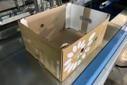 Teco T3 dozenvouwmachine met Robatech lijmmachine