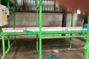 Tumoba Kerian sorting line for brussels sprouts with bunkers and roller inspection conveyor