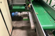 Tumoba Kerian sorting line for brussels sprouts with bunkers and roller inspection conveyor