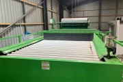 Tumoba Kerian sorting line for brussels sprouts with bunkers and roller inspection conveyor