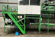 Tumoba Kerian sorting line for brussels sprouts with bunkers and roller inspection conveyor