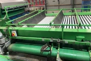 Tumoba Kerian sorting line for brussels sprouts with bunkers and roller inspection conveyor