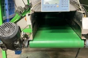 Tumoba Kerian sorting line for brussels sprouts with bunkers and roller inspection conveyor