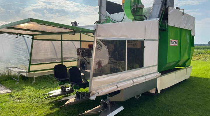 Tumoba SP3 Rosenkohl Erntemaschine