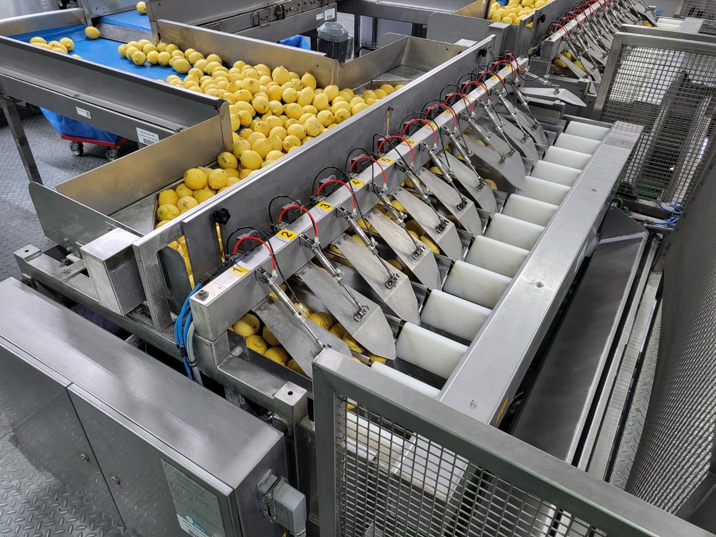���� Spang & Brand CP800 12-B
