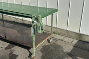 Van den Berg conveyor 415 x 80 cm