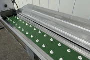 Van Lengerich asparagus washing & cutting machine