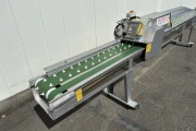Van Lengerich asparagus washing & cutting machine