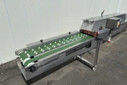 Van Lengerich asparagus washing & cutting machine with double brush