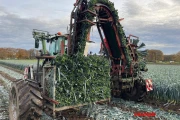 Vanhoucke VITUS Porrum Auto leek harvester automatic