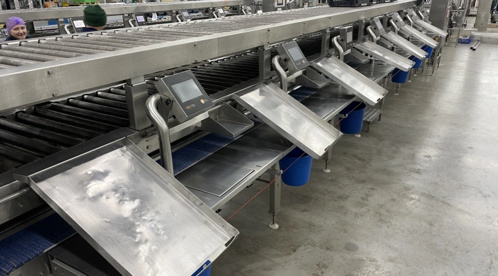 Proseal MC002 + SlipStream inpaklijnen/verpakkingsbanden met 14 weegschalen met Slip Stream