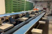 Visar stainless steel packing line with Netagco bin tipper and 16 weighing stations