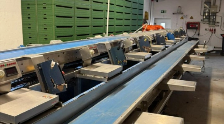 Visar stainless steel packing line with Netagco bin tipper and 16 weighing stations