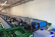Visar stainless steel packing line with Netagco bin tipper and 16 weighing stations