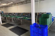 Visar stainless steel packing line with Netagco bin tipper and 16 weighing stations