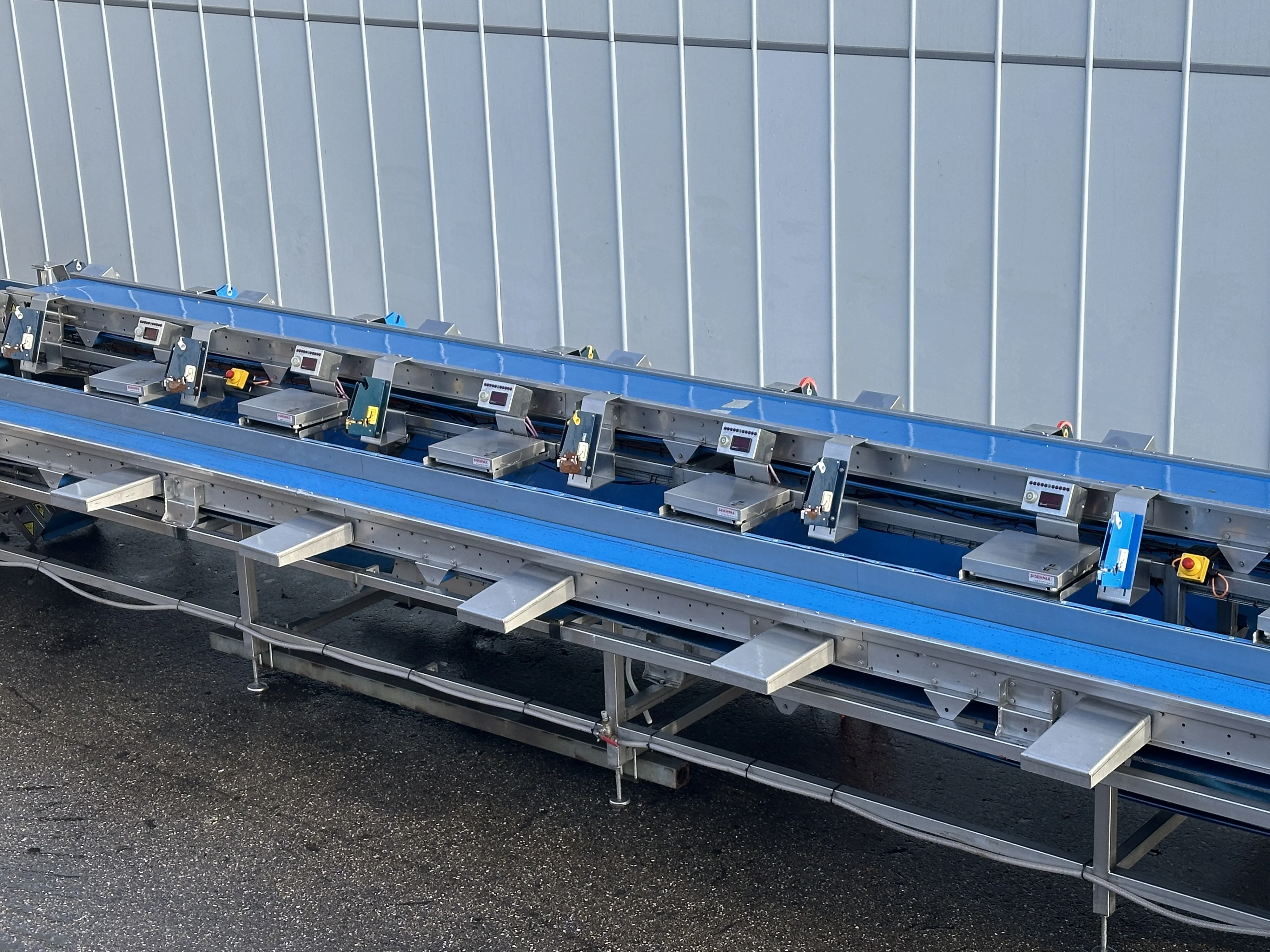 Visar stainless steel packing line with Netagco bin tipper and 16 ...