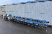 Visar stainless steel packing line with Netagco bin tipper and 16 weighing stations