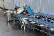 Visar stainless steel packing line with Netagco bin tipper and 16 weighing stations
