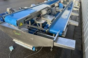 Visar stainless steel packing line with Netagco bin tipper and 16 weighing stations