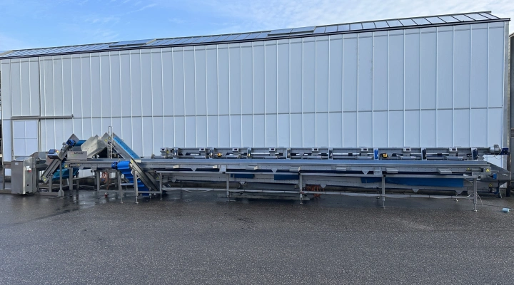 Visar stainless steel packing line with Netagco bin tipper and 16 weighing stations