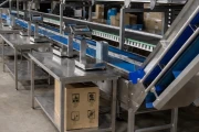Viscon production and packaging line