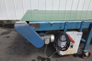 Visser conveyor 600 x 160 cm