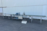 Visser PSL2 Granette tray seeding machine with supply conveyor and discharge roller conveyor