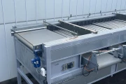 Vitech 180 cm roller sorting machine with 5 sizes