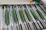 Vito Combi 7TS1K krimpfolie verpakker komkommersealmachine