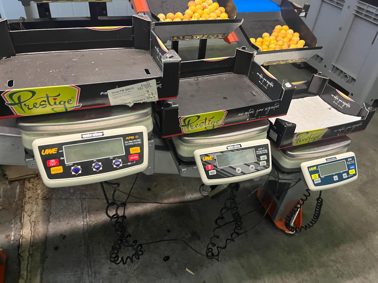 Wamel Perfect CGM-5-4 �����a ��� ���������� �����