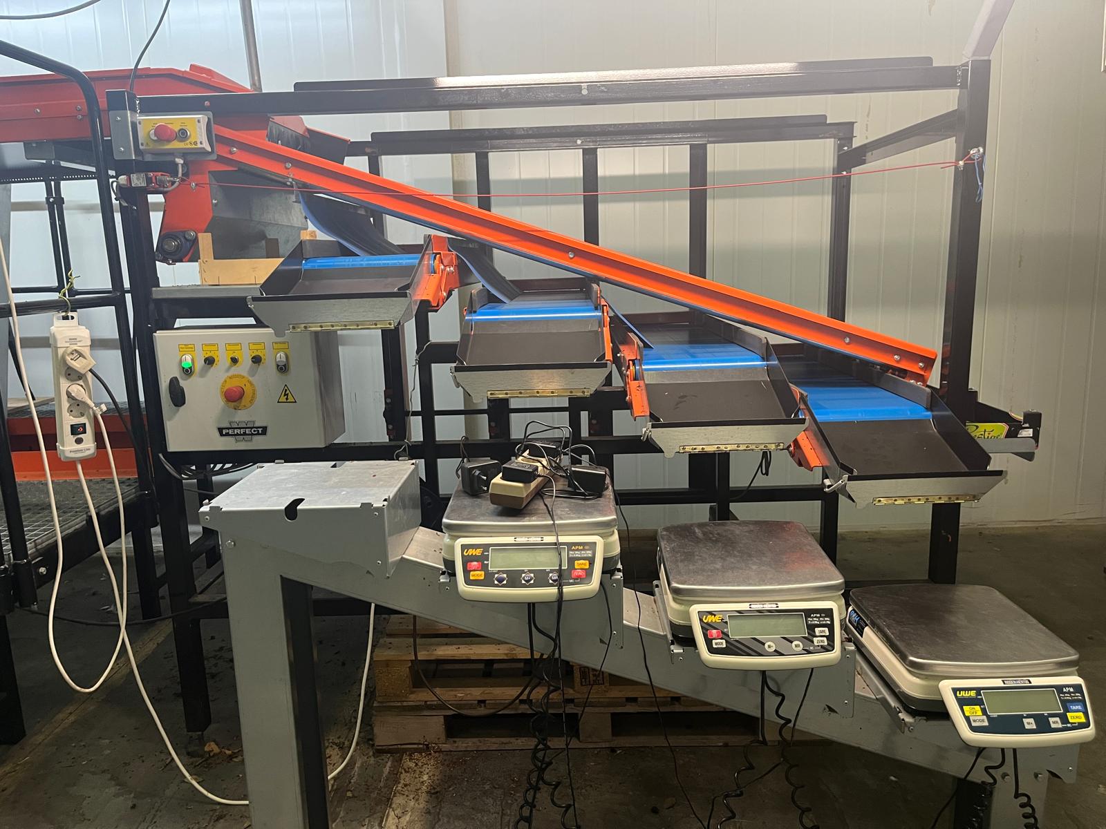 Wamel Perfect CGM-5-4 �����a ��� ���������� �����