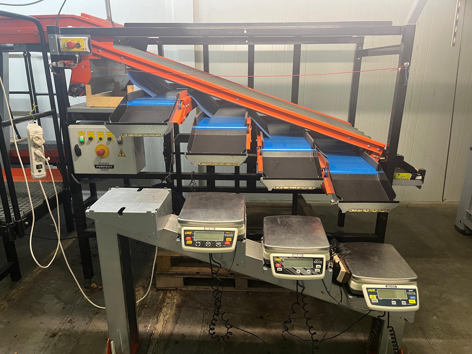 Wamel Perfect CGM-5-4 �����a ��� ���������� �����