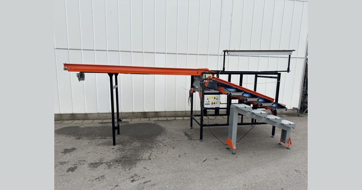 Wamel Perfect kersensorteermachine 4 + 1 sorteringen • Duijndam Machines