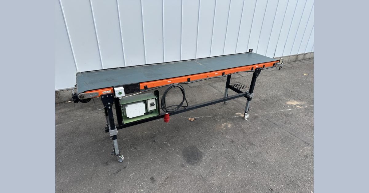 Wamel Perfect transportadora 255 x 50 centímetros • Duijndam Machines
