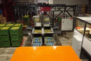 Wamel Perfect 8 line Unigrader apple & fruit sorting machine