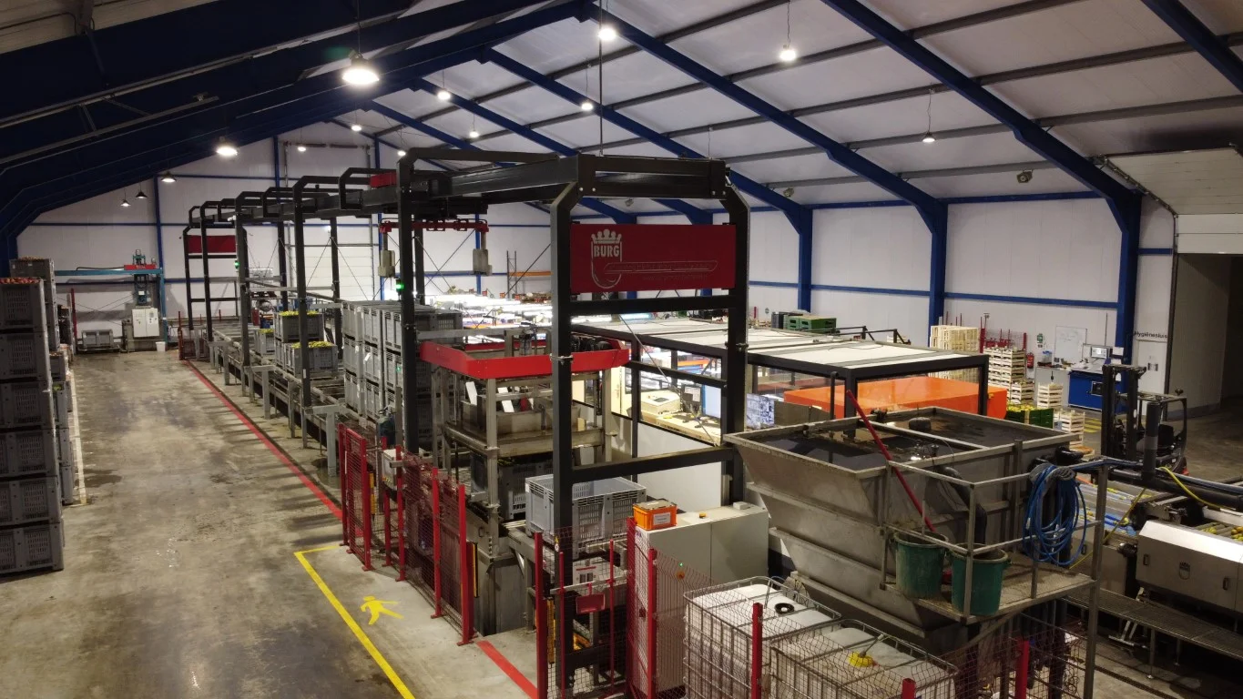 Wamel Perfect Unigrader 8 spoor sorteerlijn voor appels en peren met ...