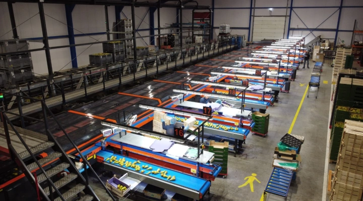 Wamel Perfect 8 line Unigrader apple & fruit sorting machine