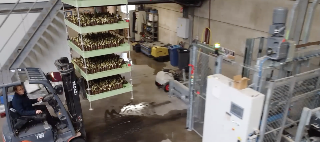 Бывшее в употреблении оборудование для выращивания цикория.