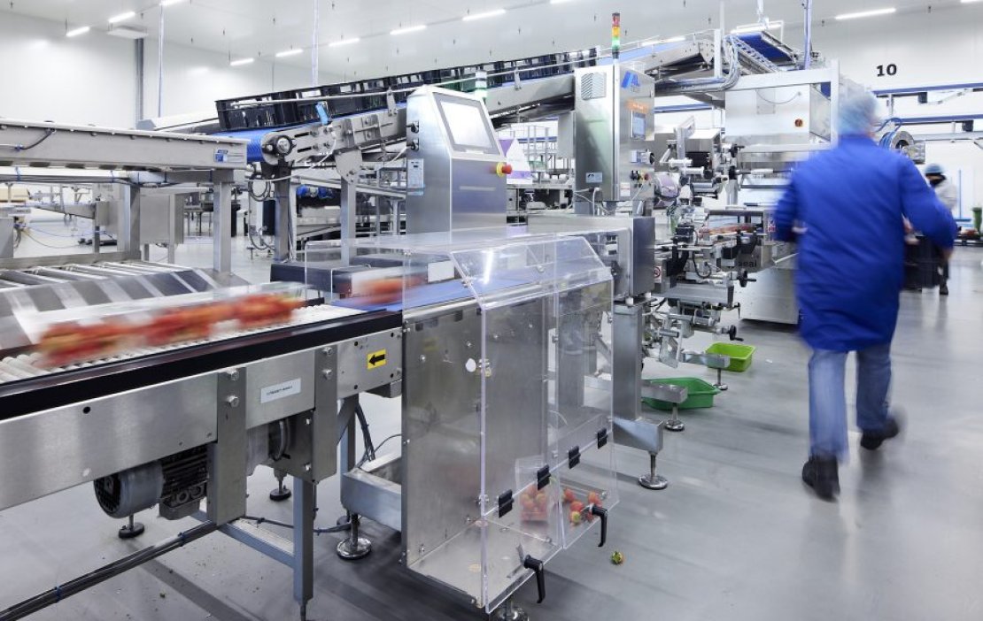 Balança de verificação usada