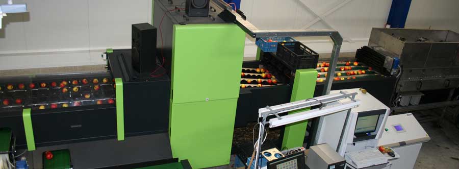 Машина для сортировки фруктов б/у