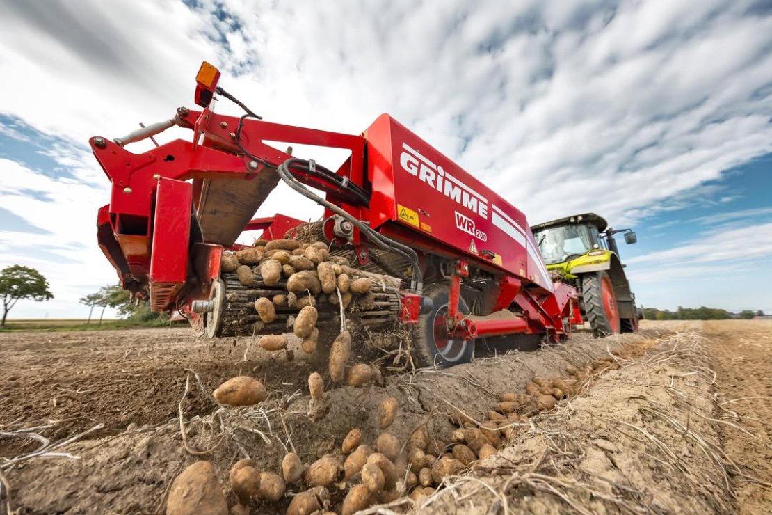 Használt burgonyaszedő