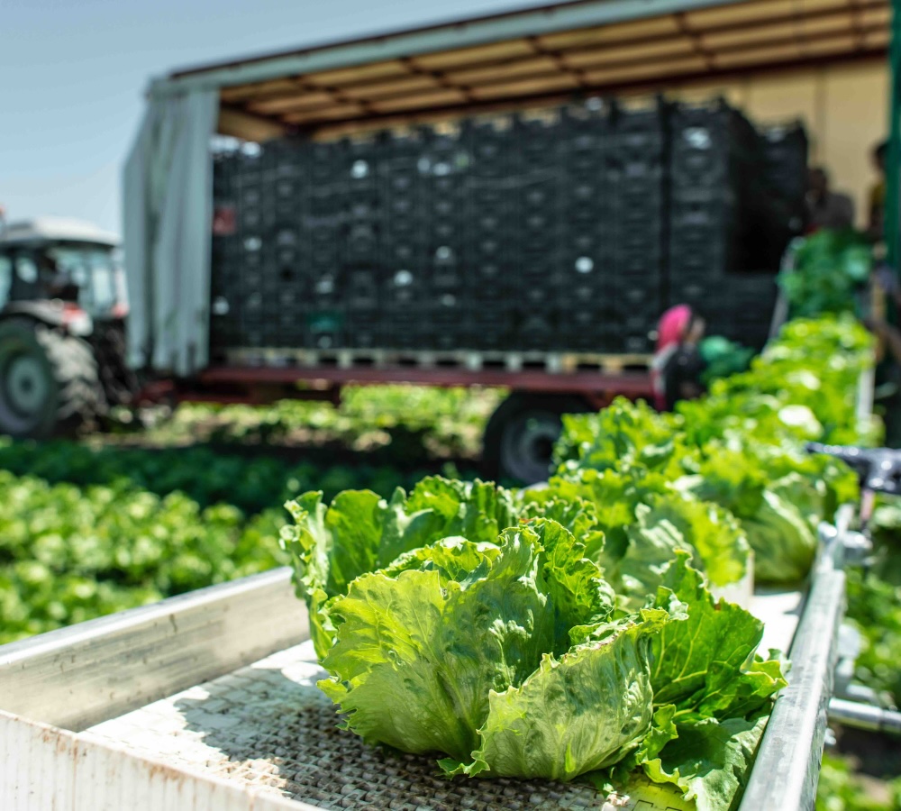 Używana przyczepa do zbioru
