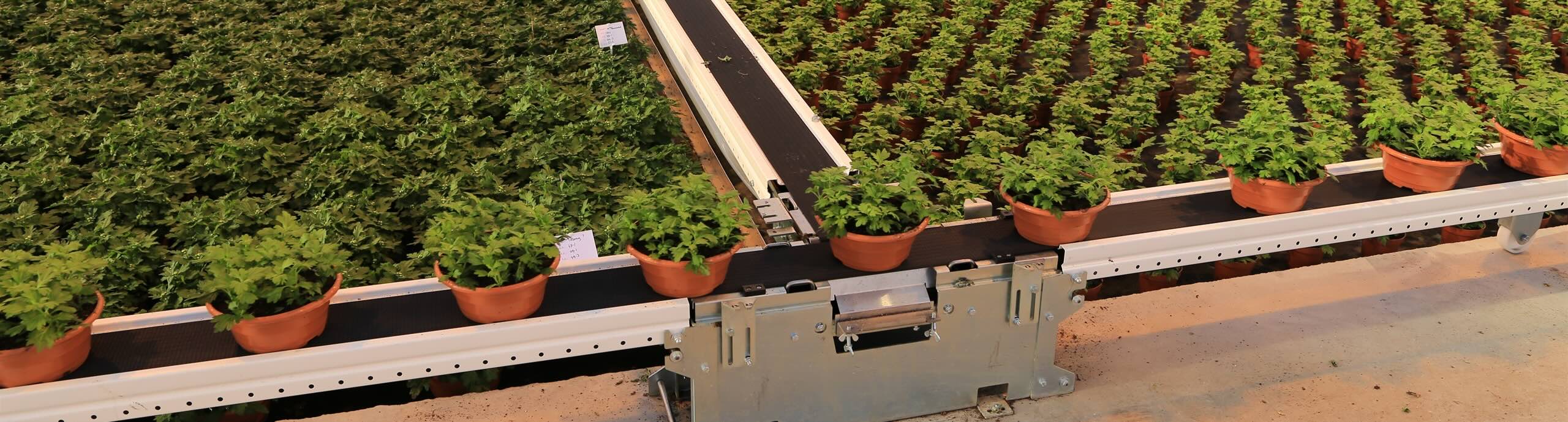 Használt növényi szállítószalag