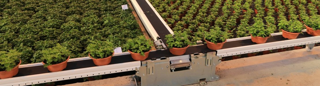 Gebrauchtes Pflanzenförderband